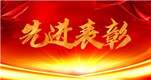 第六屆“湖南省發(fā)展非公有制經濟和中小企業(yè)先進單位和先進個人”名單出爐了